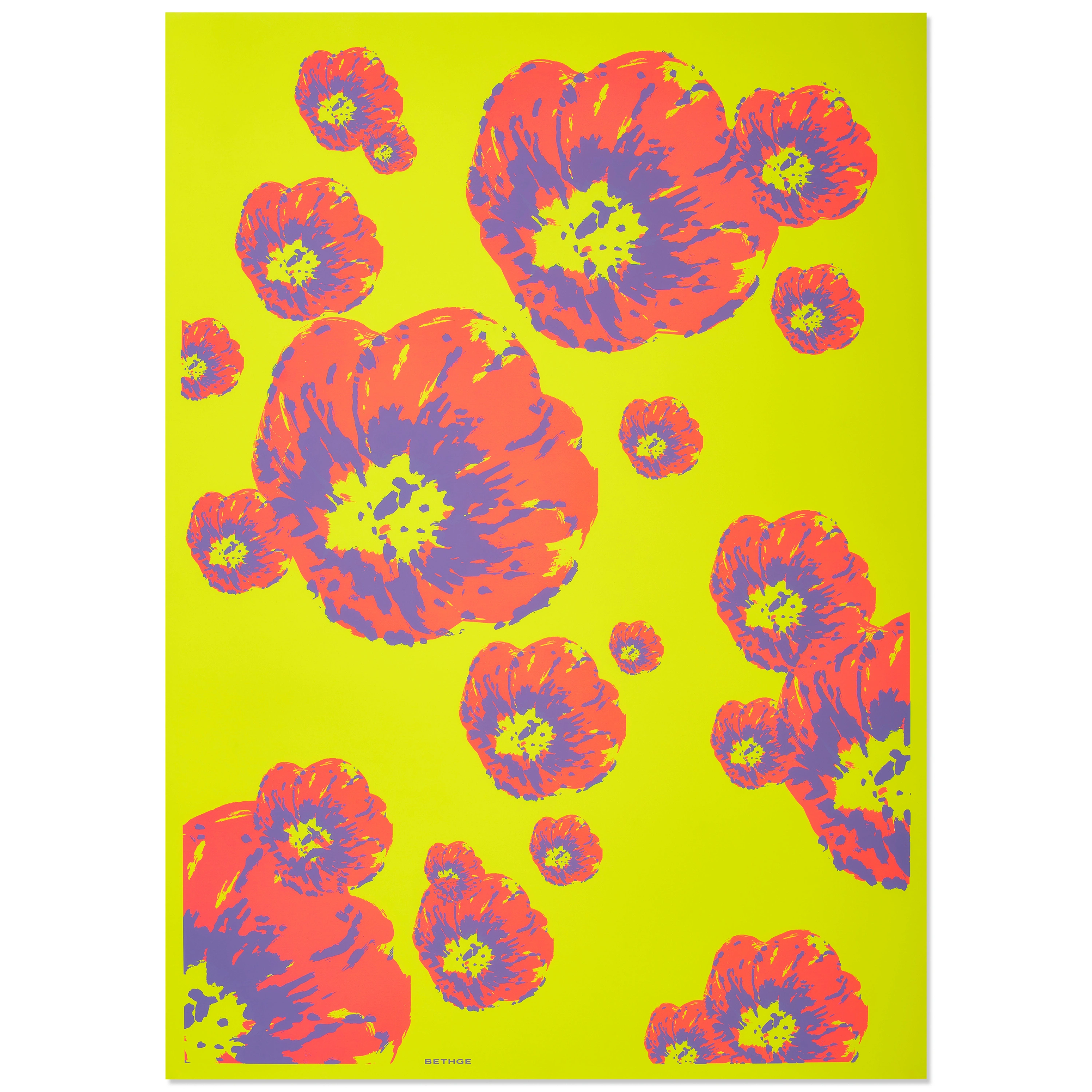 Geschenkpapier Klatschmohn Pink/Violett/Gelb 50 x 70 cm, 3B.